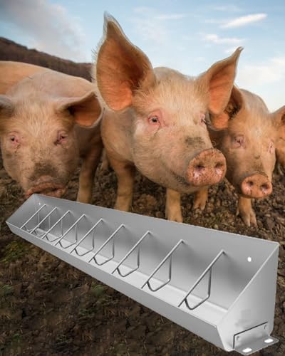 5, 8, and 10 Chamber Hog Feeders