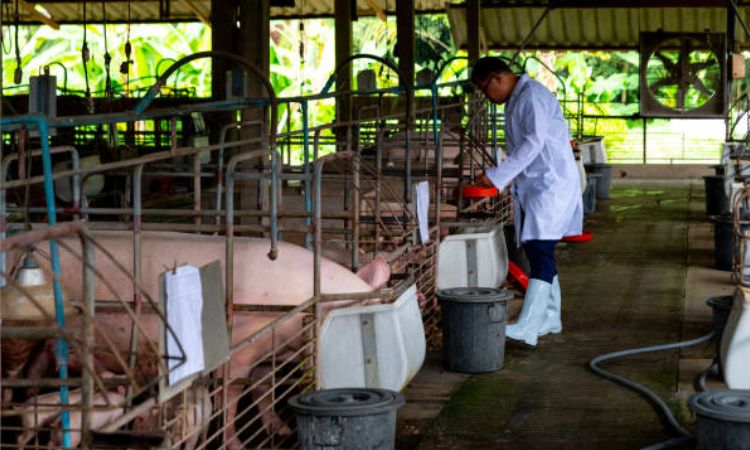 Safety Precautions When Using Disinfectants