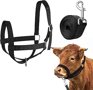 Hillban Cow Halter