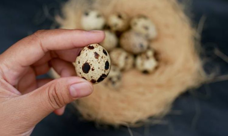 Troubleshooting and Moving Forward