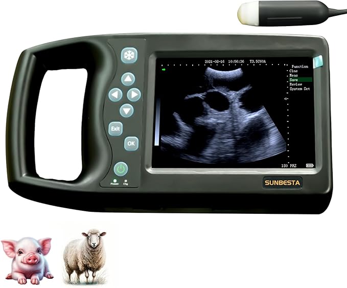 Veterinary Ultrasound Machine Lightweight