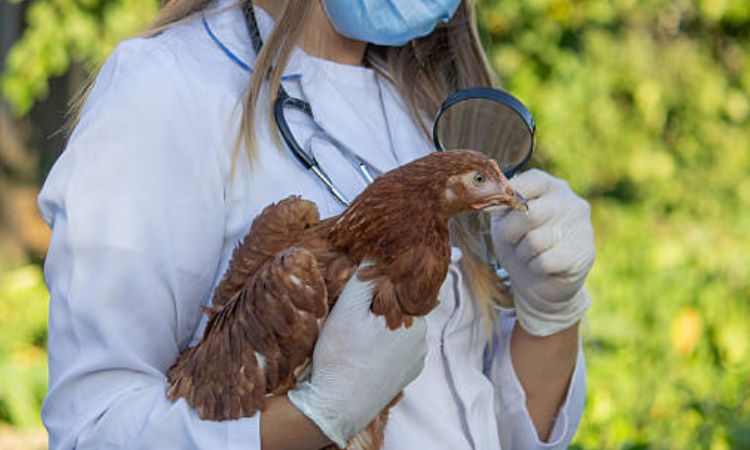 How Humans Can Be Exposed