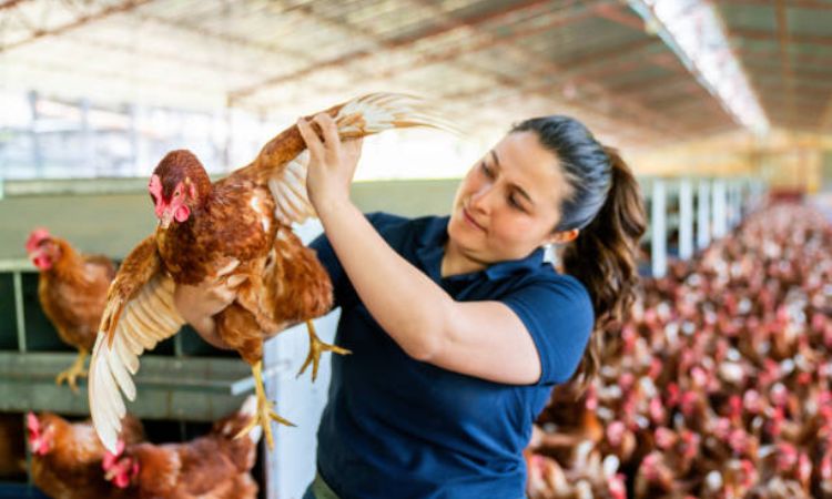 Crippling Pain and Physical Ailments