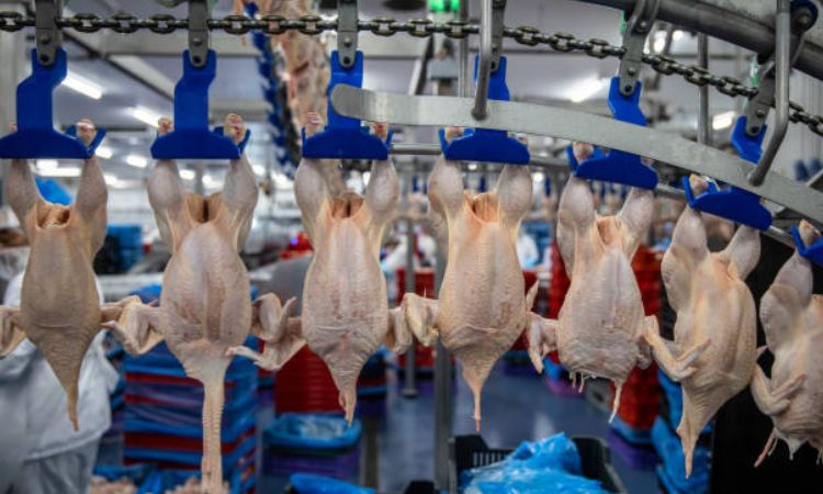 The Meaningless Labeling Game